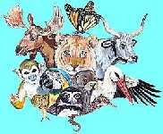 Logo Zoosammen-Zoos in S-H
